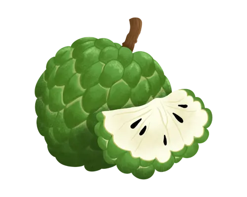 Custard apple
